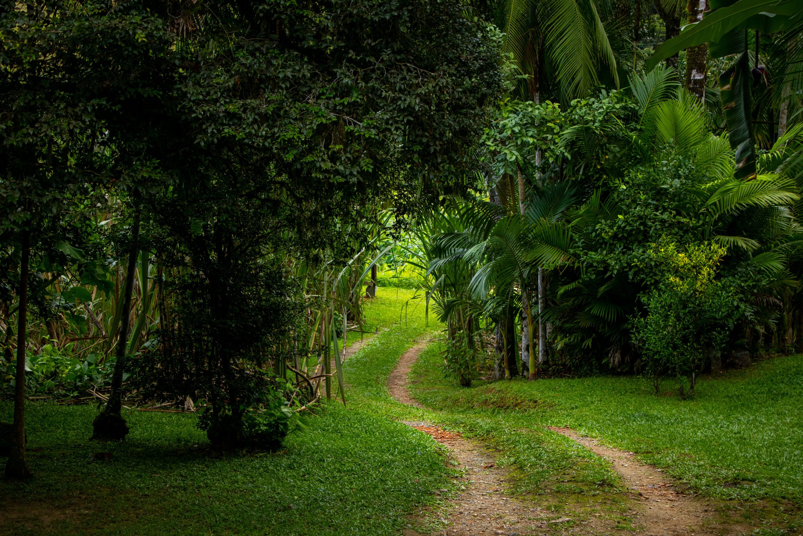 Parc national du Morne Seychellois